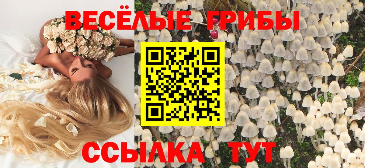 Галлюциногенные грибы Cubensis  Псилоцибиновые грибы мицелий  Ростов Великий  Вход с VPN 